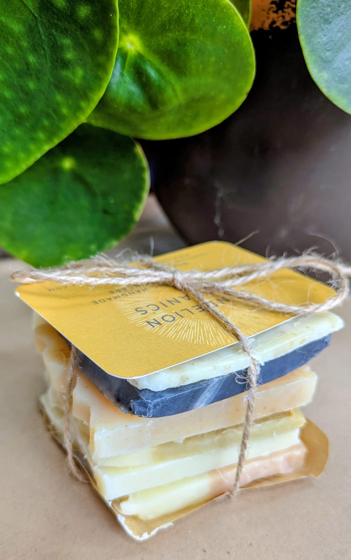 Sample Soap Bundle image 2