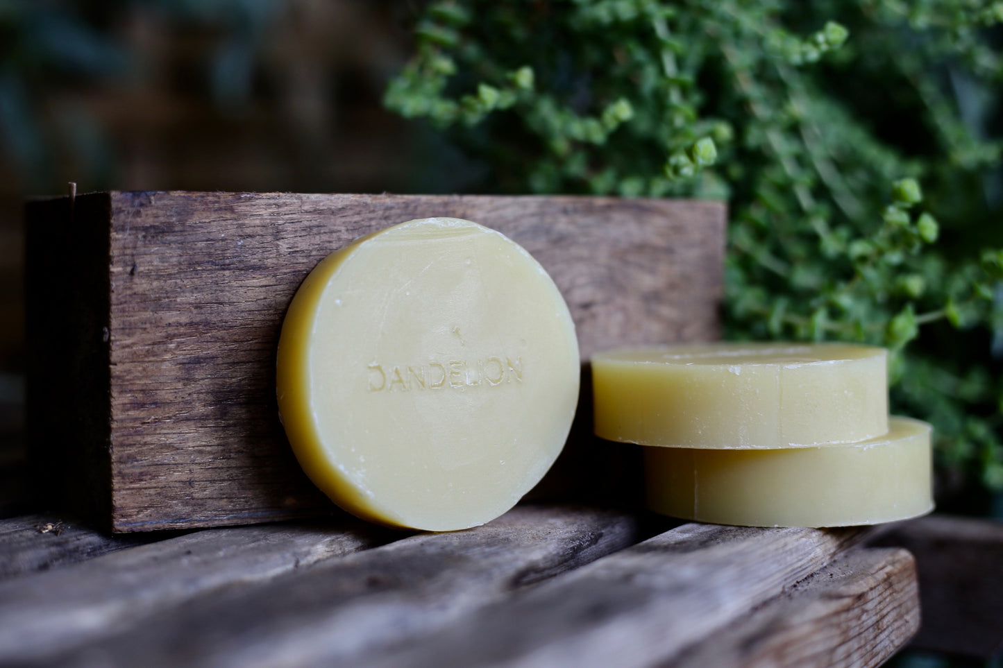 Shampoo Bar image 1