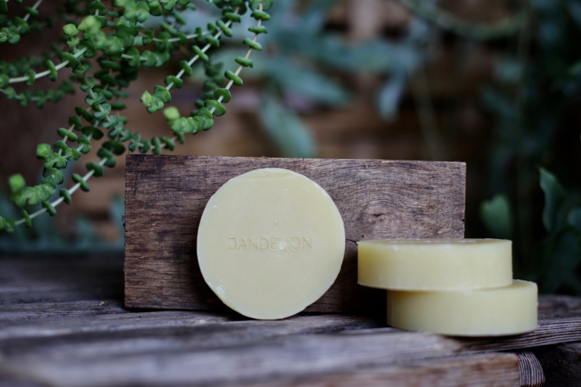 Shampoo Bar image 0