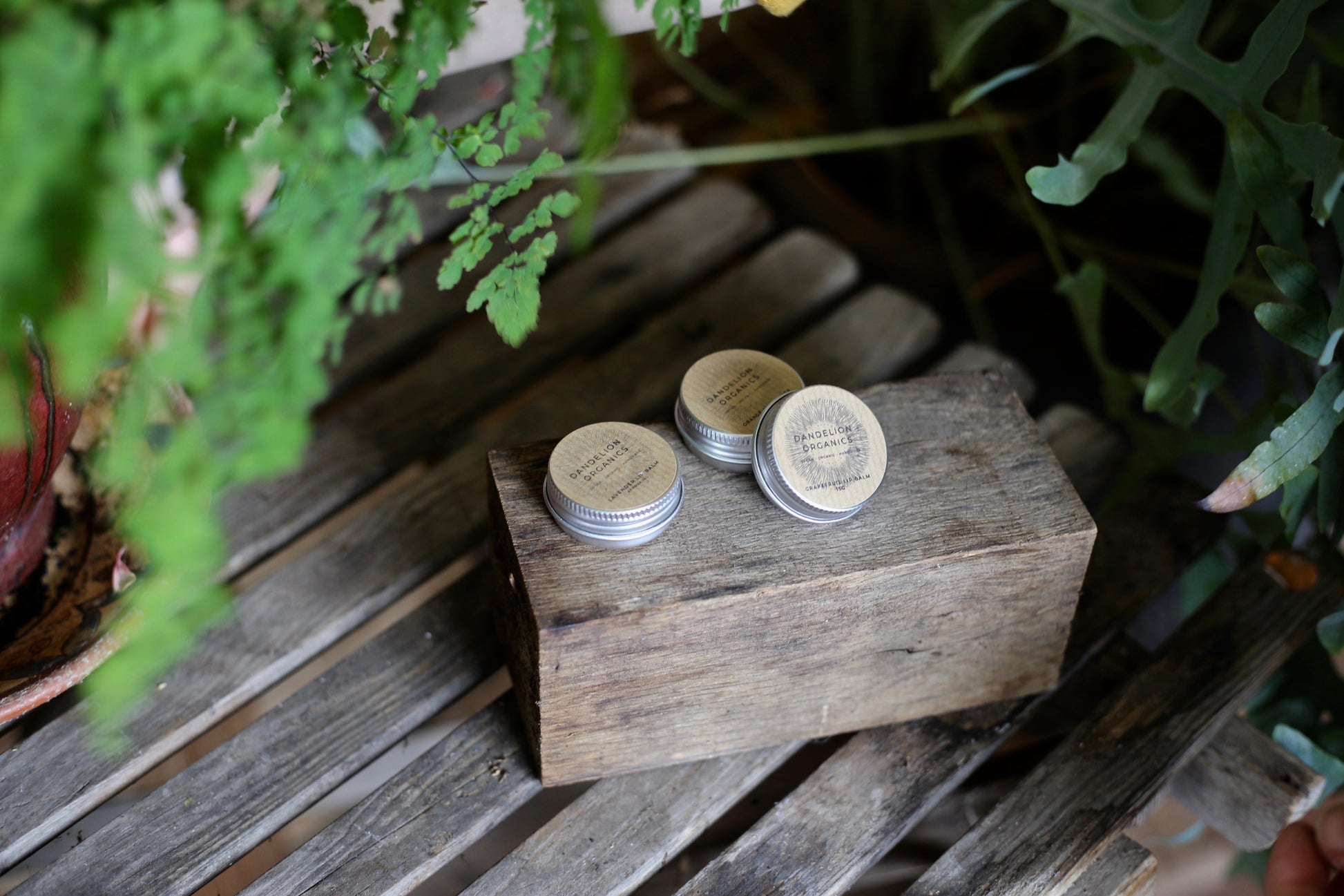 Organic Natural Lip Balm image 4