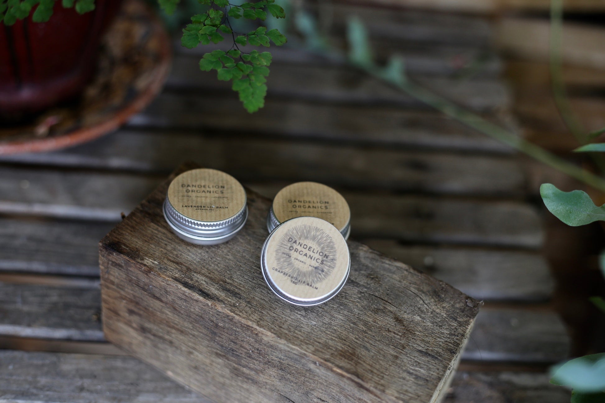 Organic Natural Lip Balm image 3